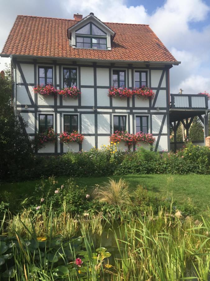 Schoene Gemuetliche Ferienwohnung Mit Kamin I Im Harz Darlingerode Esterno foto
