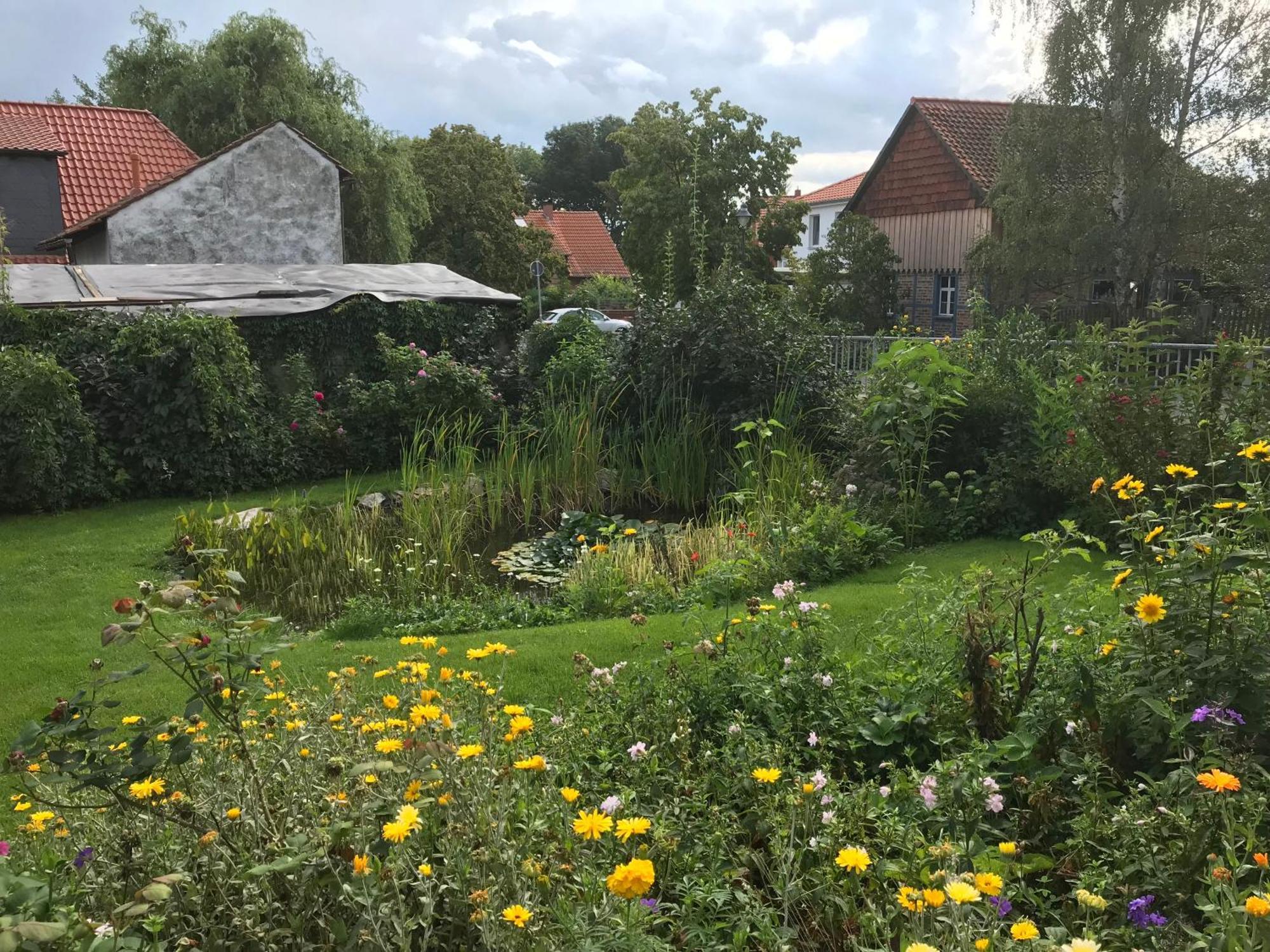 Schoene Gemuetliche Ferienwohnung Mit Kamin I Im Harz Darlingerode Esterno foto