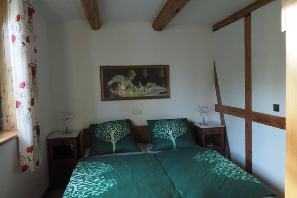 Schoene Gemuetliche Ferienwohnung Mit Kamin I Im Harz Darlingerode Esterno foto